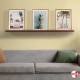 Floating Picture Shelf (Metal Gallery Shelves)