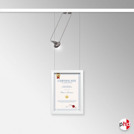 Diploma Wall Display Set (Certificate Frame with Picture Rail & Lighting)