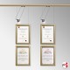 Diploma Wall Display Set (Certificate Frame with Picture Rail & Lighting)