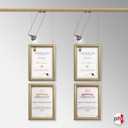 Diploma Wall Display Set (Certificate Frame with Picture Rail & Lighting)