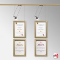 Diploma Wall Display Set (Certificate Frame with Picture Rail & Lighting)