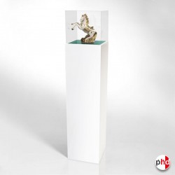 Lighting Display Plinth Pedestal (with Acrylic Case)