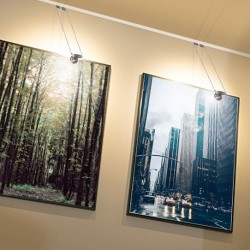 Art Gallery Hanging & Light Systems, Modern LED Picture Lighting
